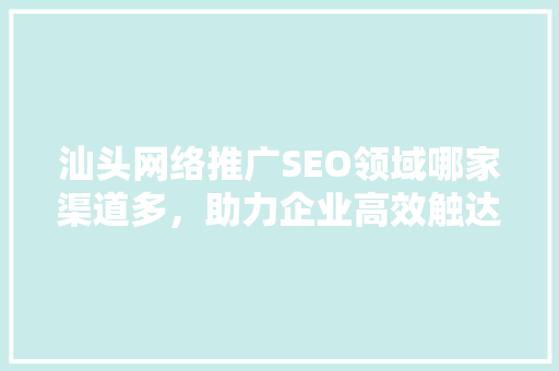 汕头网络推广SEO领域哪家渠道多，助力企业高效触达目标客户