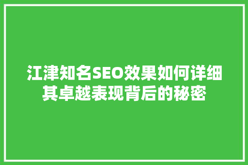 江津知名SEO效果如何详细其卓越表现背后的秘密