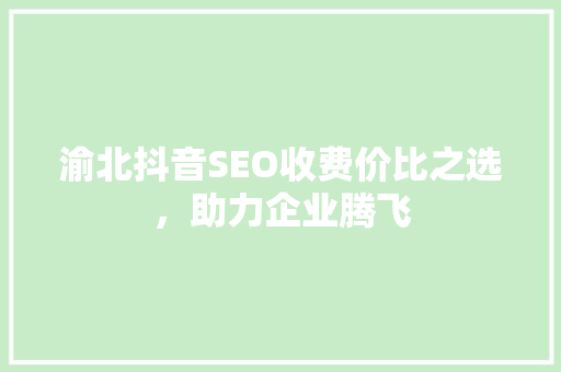 渝北抖音SEO收费价比之选，助力企业腾飞