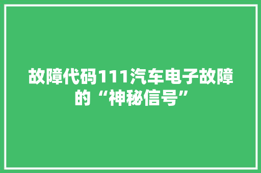 故障代码111汽车电子故障的“神秘信号”  第1张