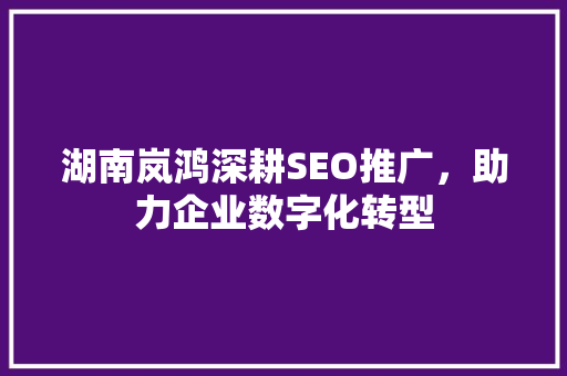 湖南岚鸿深耕SEO推广，助力企业数字化转型