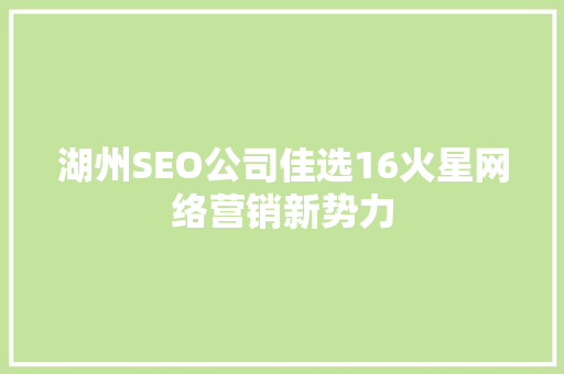 湖州SEO公司佳选16火星网络营销新势力