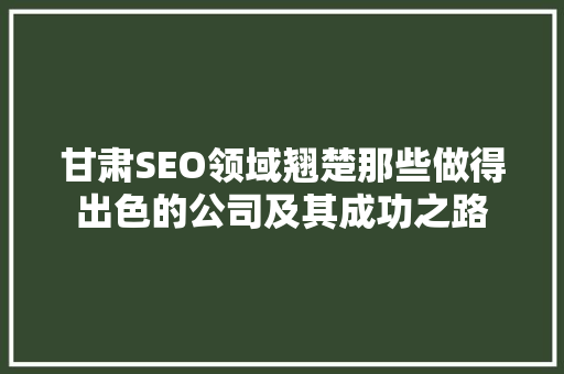 甘肃SEO领域翘楚那些做得出色的公司及其成功之路