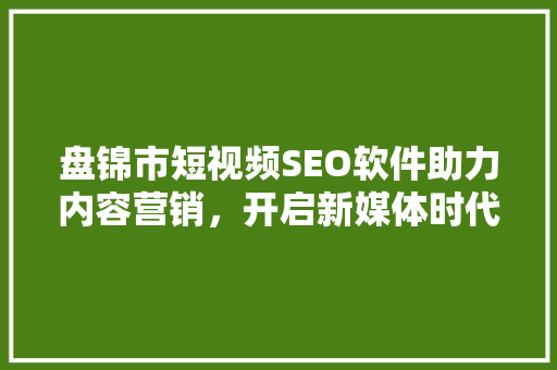 盘锦市短视频SEO软件助力内容营销，开启新媒体时代传播新篇章