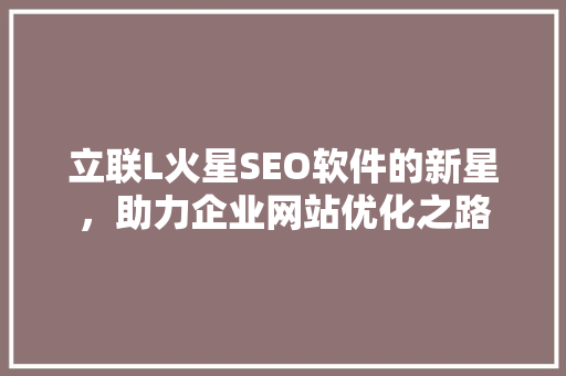 立联L火星SEO软件的新星，助力企业网站优化之路