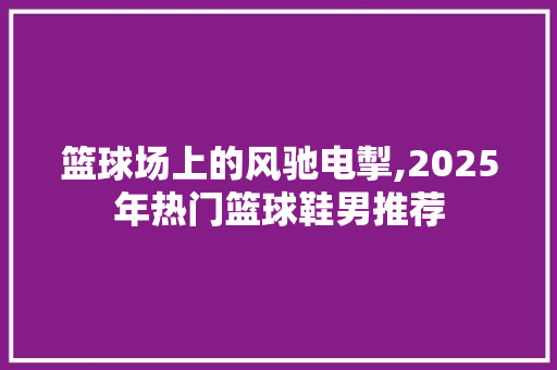 篮球场上的风驰电掣,2025年热门篮球鞋男推荐