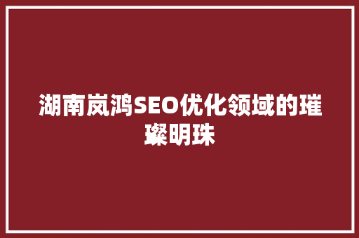 湖南岚鸿SEO优化领域的璀璨明珠
