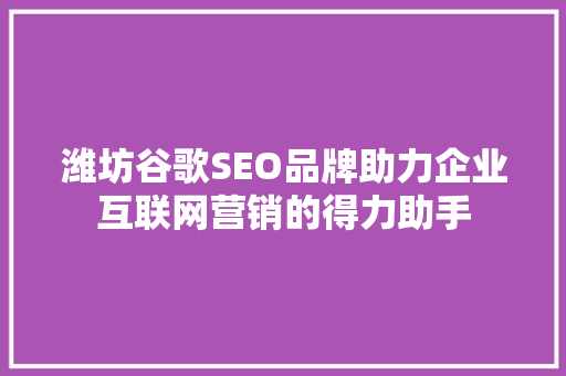 潍坊谷歌SEO品牌助力企业互联网营销的得力助手