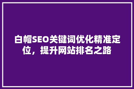 白帽SEO关键词优化精准定位，提升网站排名之路