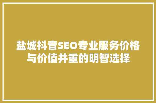 盐城抖音SEO专业服务价格与价值并重的明智选择