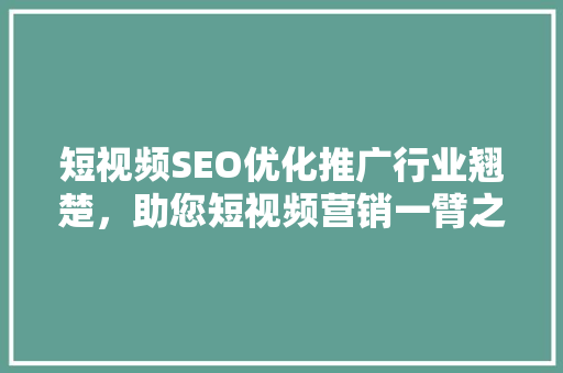 短视频SEO优化推广行业翘楚，助您短视频营销一臂之力