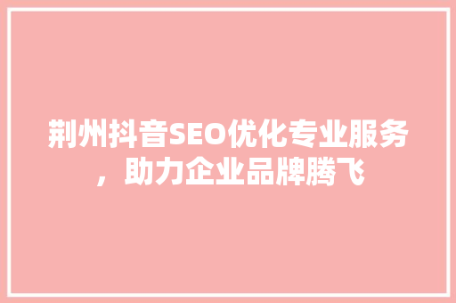荆州抖音SEO优化专业服务，助力企业品牌腾飞
