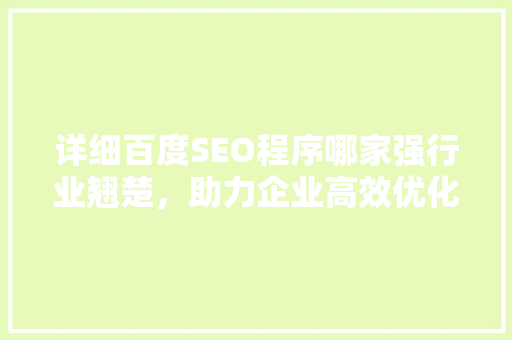 详细百度SEO程序哪家强行业翘楚，助力企业高效优化