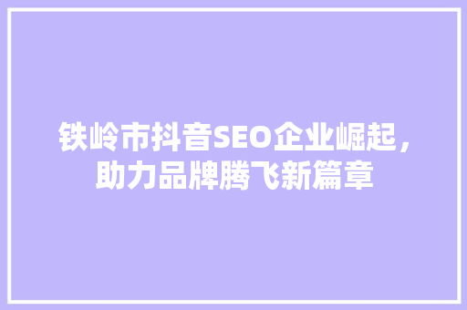 铁岭市抖音SEO企业崛起，助力品牌腾飞新篇章