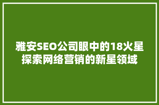 雅安SEO公司眼中的18火星探索网络营销的新星领域