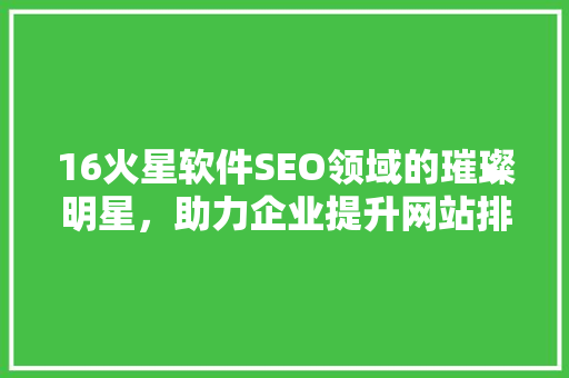 16火星软件SEO领域的璀璨明星，助力企业提升网站排名
