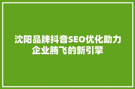沈阳品牌抖音SEO优化助力企业腾飞的新引擎