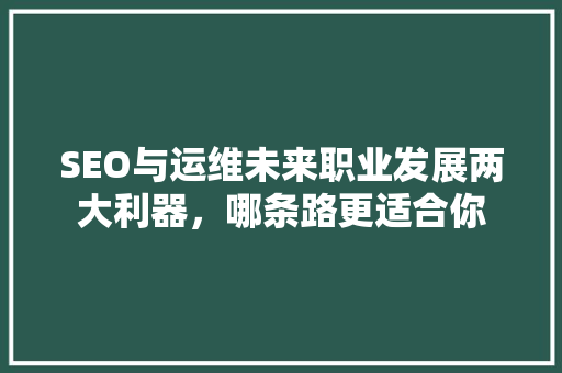 SEO与运维未来职业发展两大利器，哪条路更适合你  第1张