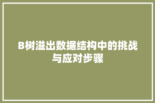 B树溢出数据结构中的挑战与应对步骤