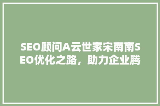 SEO顾问A云世家宋南南SEO优化之路，助力企业腾飞