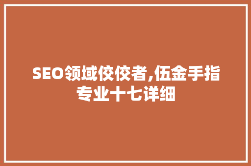 SEO领域佼佼者,伍金手指专业十七详细