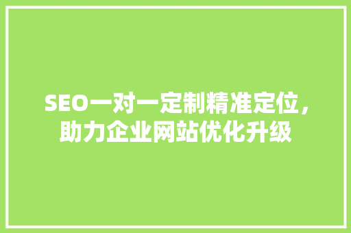 SEO一对一定制精准定位，助力企业网站优化升级