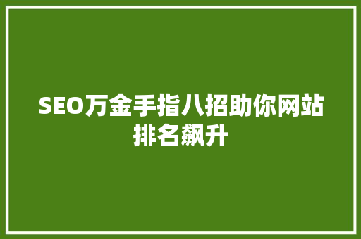SEO万金手指八招助你网站排名飙升