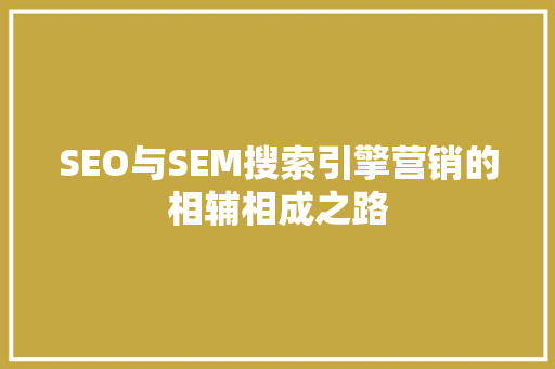 SEO与SEM搜索引擎营销的相辅相成之路  第1张
