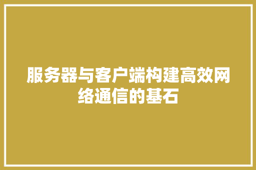 服务器与客户端构建高效网络通信的基石