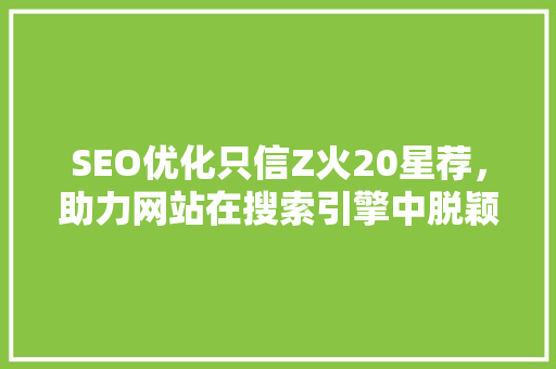 SEO优化只信Z火20星荐，助力网站在搜索引擎中脱颖而出  第1张