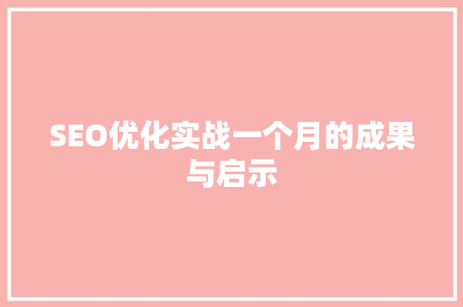 SEO优化实战一个月的成果与启示