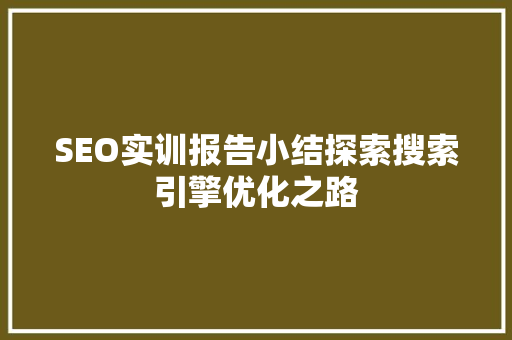 SEO实训报告小结探索搜索引擎优化之路