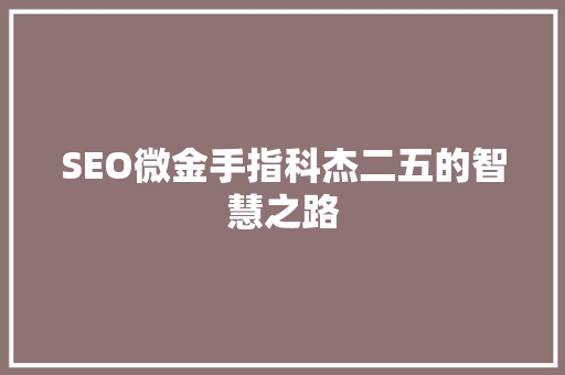 SEO微金手指科杰二五的智慧之路
