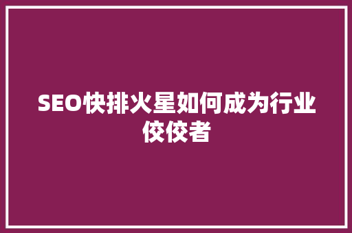 SEO快排火星如何成为行业佼佼者
