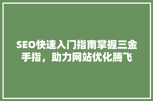 SEO快速入门指南掌握三金手指，助力网站优化腾飞