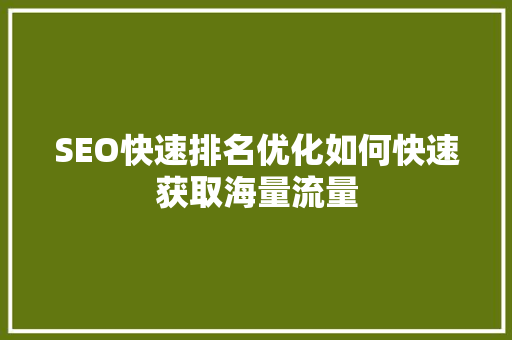 SEO快速排名优化如何快速获取海量流量