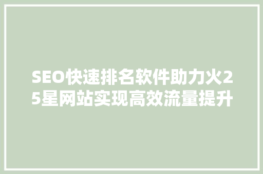 SEO快速排名软件助力火25星网站实现高效流量提升