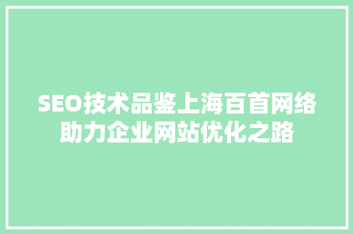 SEO技术品鉴上海百首网络助力企业网站优化之路