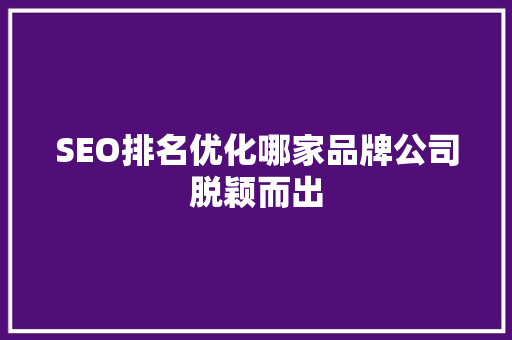 SEO排名优化哪家品牌公司脱颖而出