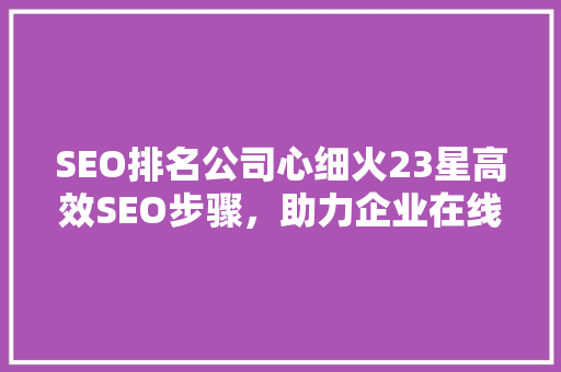 SEO排名公司心细火23星高效SEO步骤，助力企业在线崛起