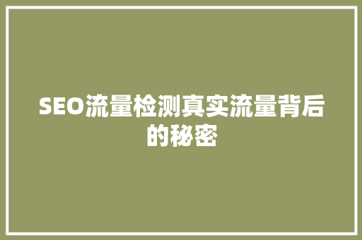SEO流量检测真实流量背后的秘密