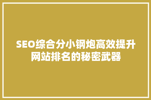 SEO综合分小钢炮高效提升网站排名的秘密武器