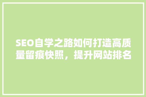 SEO自学之路如何打造高质量留痕快照，提升网站排名