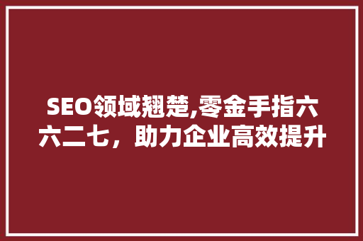 SEO领域翘楚,零金手指六六二七，助力企业高效提升网站排名