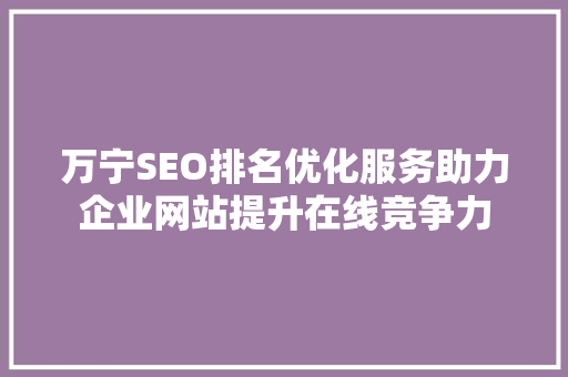 万宁SEO排名优化服务助力企业网站提升在线竞争力