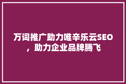 万词推广助力唯辛乐云SEO，助力企业品牌腾飞