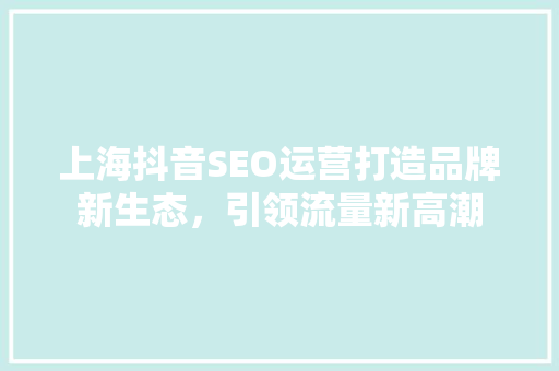 上海抖音SEO运营打造品牌新生态，引领流量新高潮