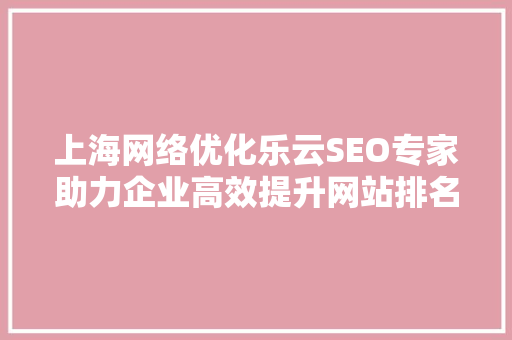 上海网络优化乐云SEO专家助力企业高效提升网站排名
