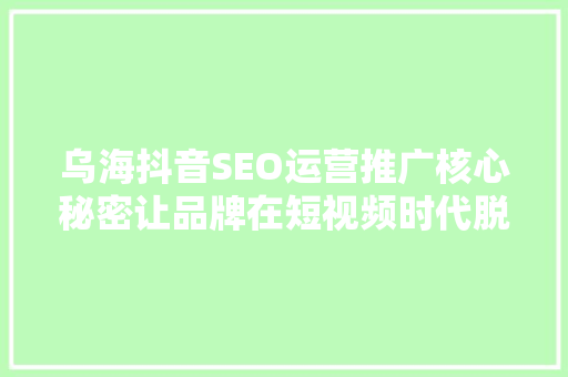 乌海抖音SEO运营推广核心秘密让品牌在短视频时代脱颖而出