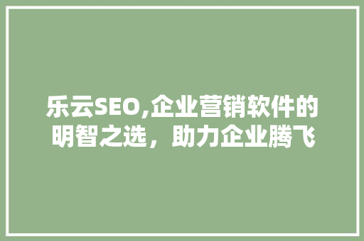 乐云SEO,企业营销软件的明智之选，助力企业腾飞